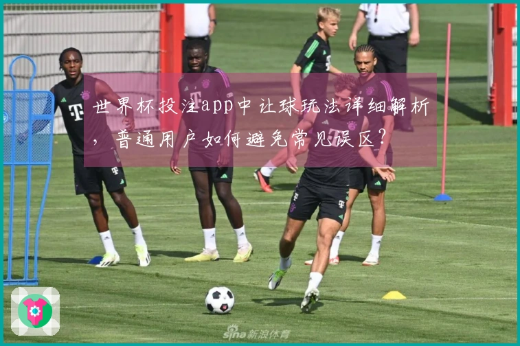 世界杯投注app中让球玩法详细解析，普通用户如何避免常见误区？
