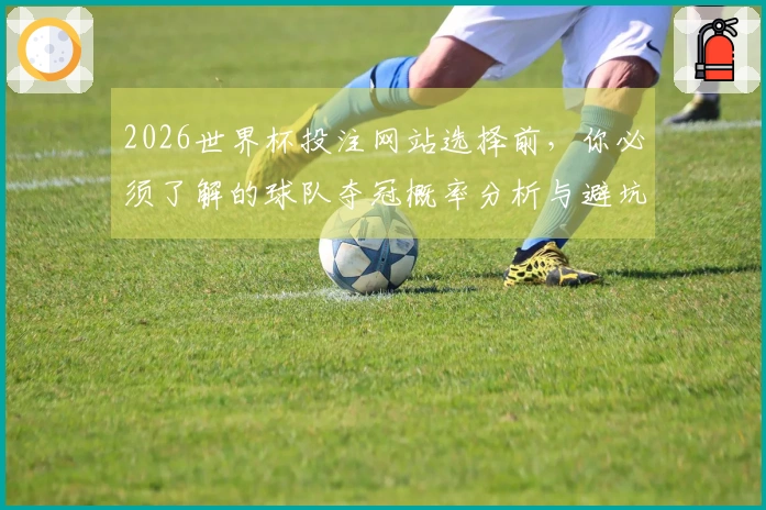 2026世界杯投注网站选择前，你必须了解的球队夺冠概率分析与避坑指南