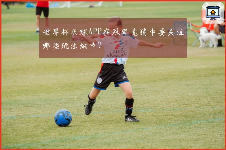 世界杯买球APP在冠军竞猜中要关注哪些玩法细节?