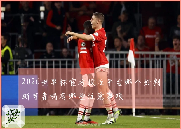 2026世界杯官方投注平台哪个好判断可靠吗有哪些注意事项
