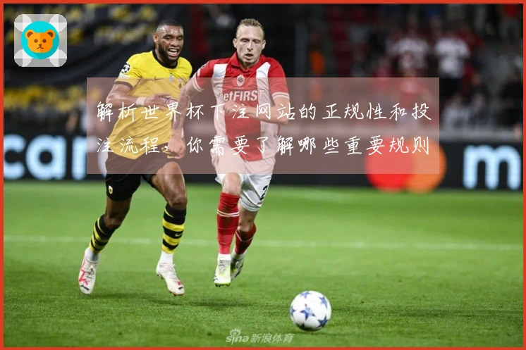 解析世界杯下注网站的正规性和投注流程，你需要了解哪些重要规则？