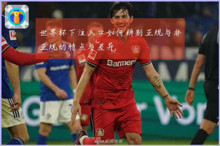 世界杯下注入口如何辨别正规与非正规的特点与差异