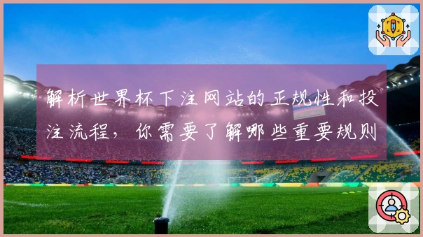 解析世界杯下注网站的正规性和投注流程，你需要了解哪些重要规则？