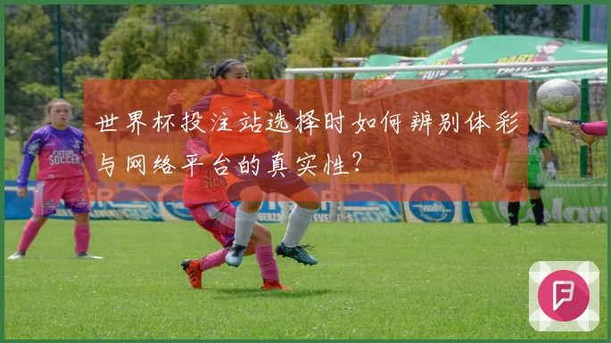 世界杯投注站选择时如何辨别体彩与网络平台的真实性？