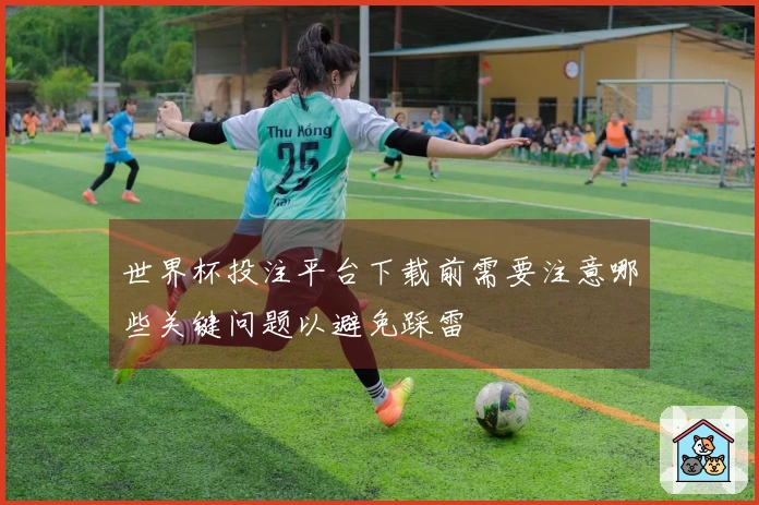 世界杯投注平台下载前需要注意哪些关键问题以避免踩雷
