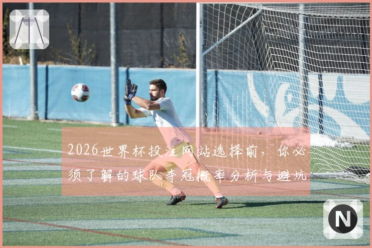 2026世界杯投注网站选择前，你必须了解的球队夺冠概率分析与避坑指南
