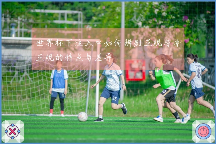 世界杯下注入口如何辨别正规与非正规的特点与差异