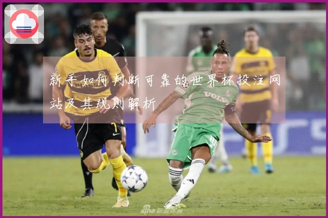新手如何判断可靠的世界杯投注网站及其规则解析